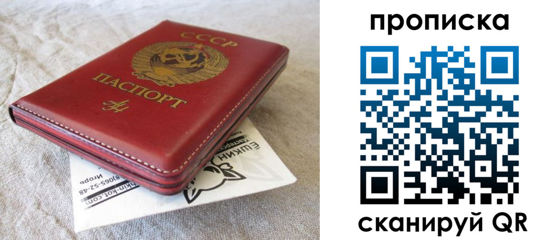 прописка для школы в Называевске